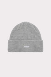 Future Beanie