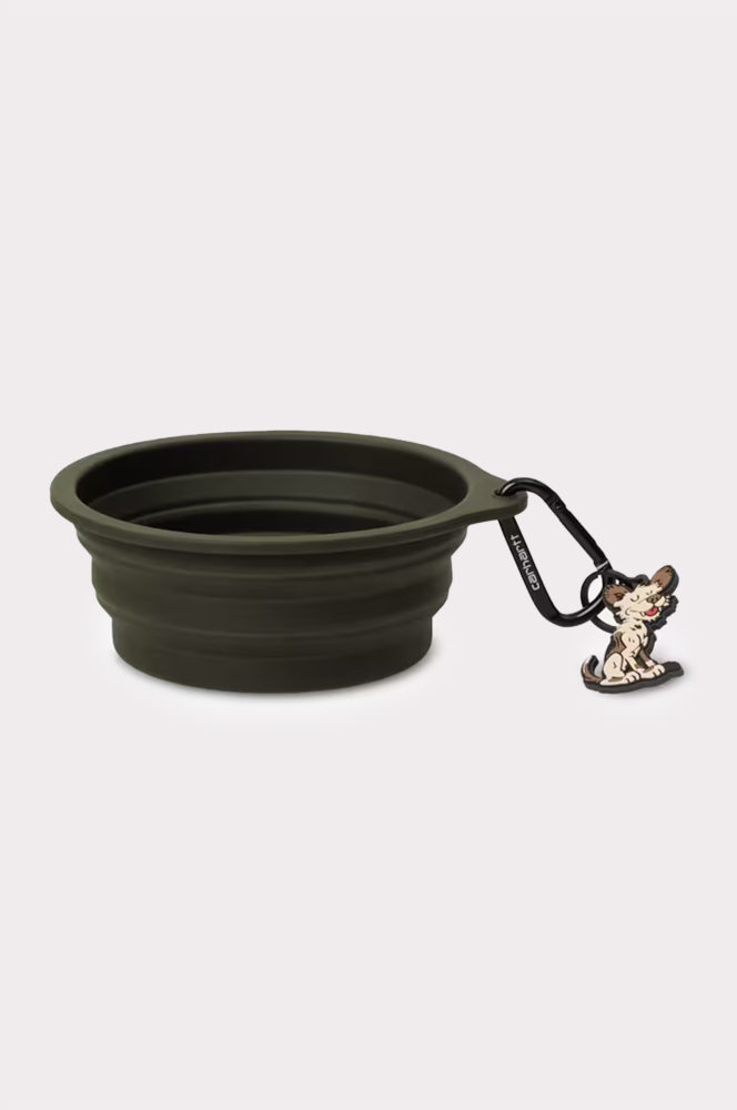 Wild Dog Foldable Bowl